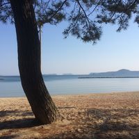 ホテルの敷地から 菊が浜