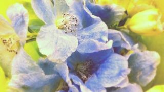 1Fのお花屋さんがすてき！