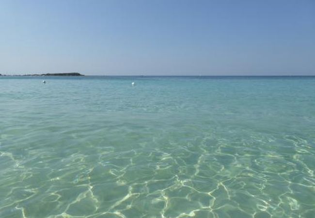 素晴らしいビーチ！