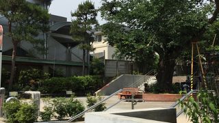 リニューアルされたばかり