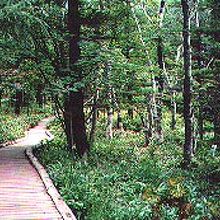 一周30分ほどの遊歩道