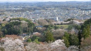 桜の季節がステキ