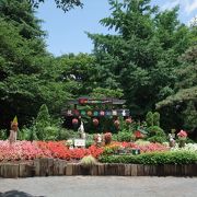 羽村市動物公園大好き！ ～ 動物との距離が近いです