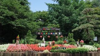 羽村市動物公園大好き！ ～ 動物との距離が近いです