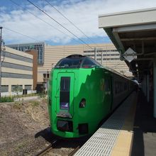 新青森駅で特急スーパー白鳥19号に乗り換えました