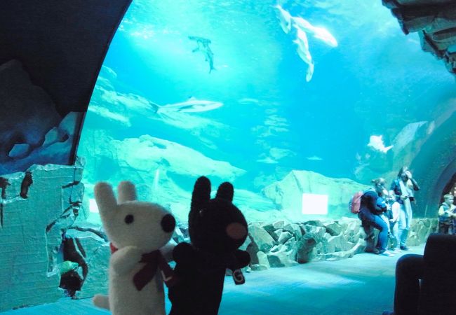 穴場の水族館