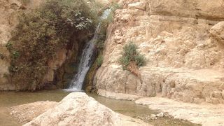 ダビデが隠れ住んだ場所！