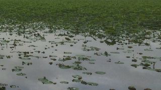 散策のハイライト