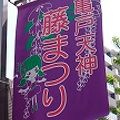 満開の藤☆亀戸天神
