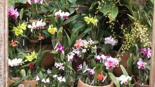 南国の庭園が広がっていました