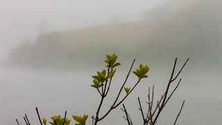 何にもありませんか゜