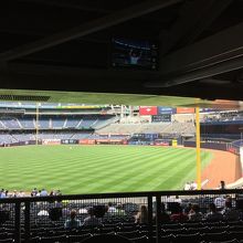 フィールドレベルからの眺め