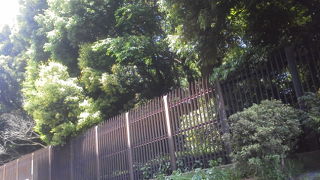 近所のコンビニでお弁当買って、ピクニック気分