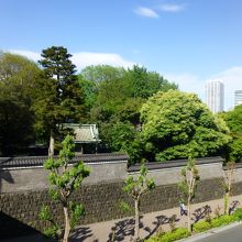 湯島聖堂を望む