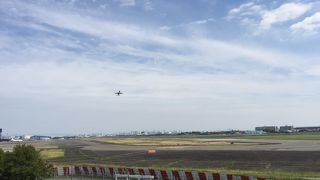 主に大阪空港の飛行機の離陸を見れます