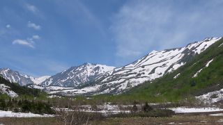 水芭蕉と白馬三山