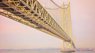 美しくて　大きい　満足感ありです