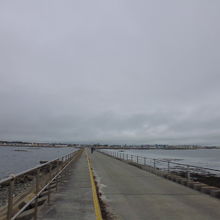 左側がソルトヒル散歩道