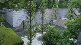 木漏れ日の中で散歩を