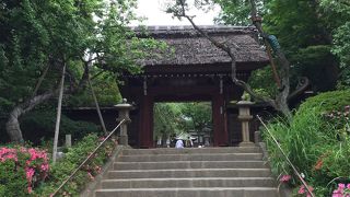 深大寺そばが有名