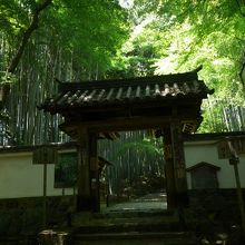 竹林の中に入口がありました