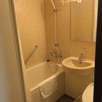 他のダイワロイネットより狭い？