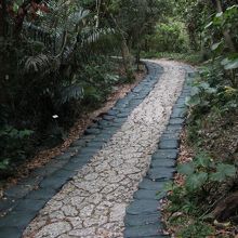スポットに向かう遊歩道