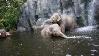 リニューアル後