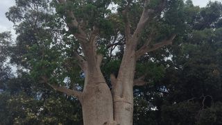 市民の憩いの場です