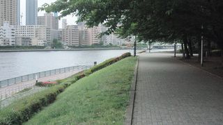 佃大橋の眺めが良い。