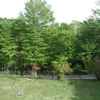 部屋からの眺めも良いです