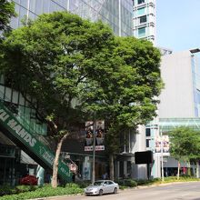 Somerset のあたり、日系のショップもあります