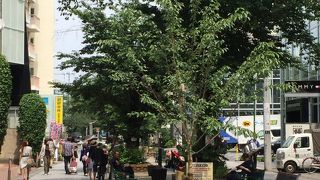 自由が丘駅近くの緑道