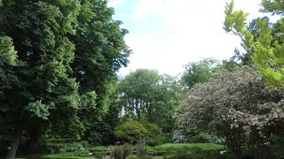 素晴らしい植物園