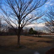 散策の気持ちいい公園