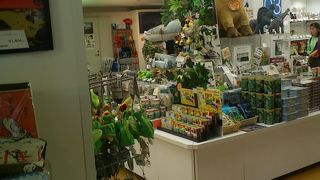 展示物をモチーフ