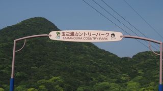 観光客よりは地元の人向けの場所っぽい