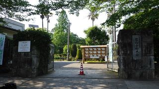 熊本城の敷地内にあるが