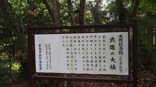 確かに神様が住んでいそうな雰囲気