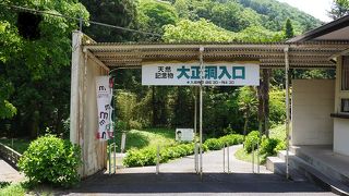 山口、鍾乳洞めぐり・・・