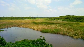 なーんにもない…