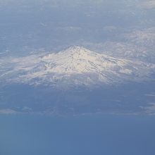 貴重な姿が見れました。