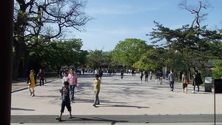 昌徳宮でございます