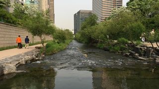 清渓川でございます