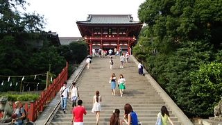 いつ来ても良い鎌倉。鶴岡八幡宮