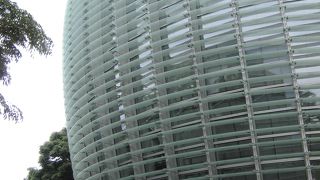 ufufufu～サボテンじゃあないの。。。