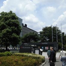 やっぱ！緑って気持ちいい