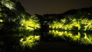 ツツジは終わってしまっていましたが・・・・