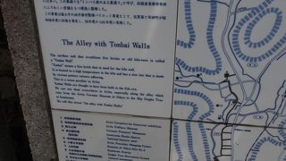 赤土の独特の壁です