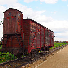 この貨車に詰め込まれてここビルケナウまで連れてこられました。